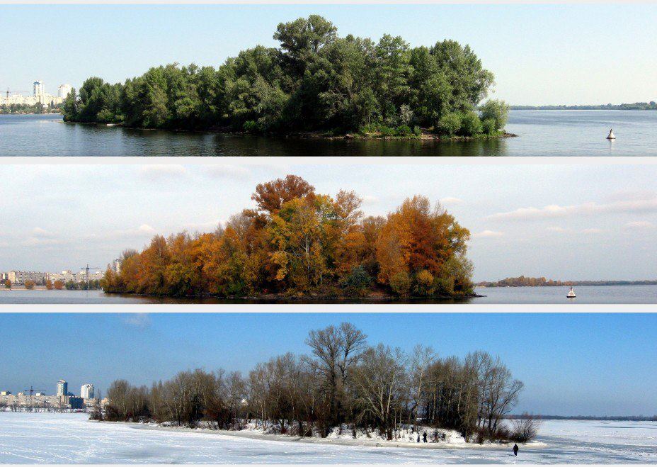 Оболонь: лето, осень, зима (фото) - obolon-leto-osen-zima-foto_1