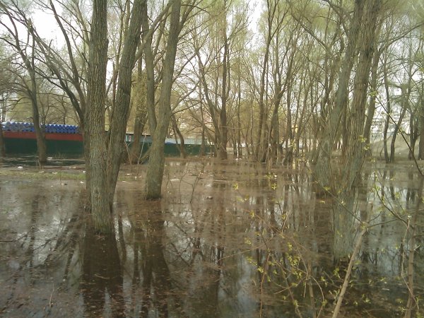 17 апреля 2010 года, 28 фото затопленной Оболони - 17042010-28foto-zatoplennoj-Oboloni_11