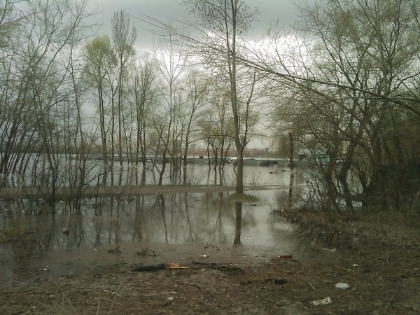17 апреля 2010 года, 28 фото затопленной Оболони - 17042010-28foto-zatoplennoj-Oboloni_13