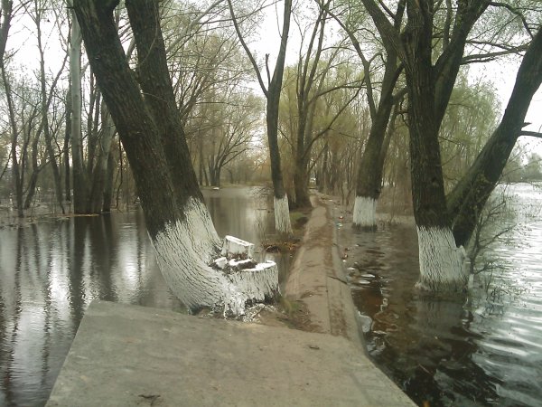17 апреля 2010 года, 28 фото затопленной Оболони - 17042010-28foto-zatoplennoj-Oboloni_19