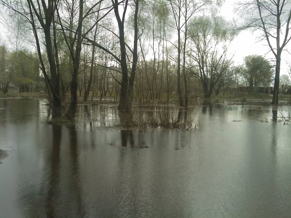 17 апреля 2010 года, 28 фото затопленной Оболони - 17042010-28foto-zatoplennoj-Oboloni_20