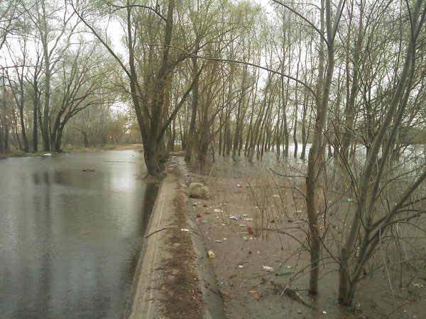17 апреля 2010 года, 28 фото затопленной Оболони - 17042010-28foto-zatoplennoj-Oboloni_21