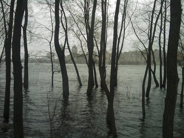 17 апреля 2010 года, 28 фото затопленной Оболони - 17042010-28foto-zatoplennoj-Oboloni_22
