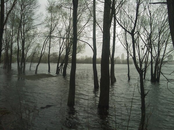 17 апреля 2010 года, 28 фото затопленной Оболони - 17042010-28foto-zatoplennoj-Oboloni_23