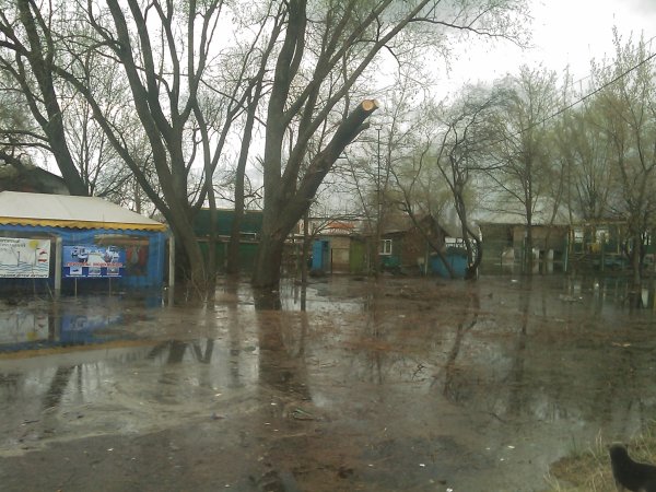 17 апреля 2010 года, 28 фото затопленной Оболони - 17042010-28foto-zatoplennoj-Oboloni_8