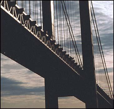 В Китае появится самый длинный мост в мире - 20070604182906895_1
