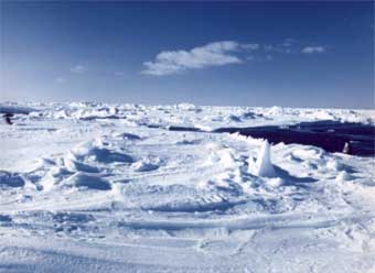 В борьбу за Арктику вступила Дания - 20070812155141492_1