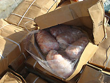 Винницкие правоохранители изъяли 44 тонны мяса и рыбы, опасных для здоровья людей - 20080320102845524_1