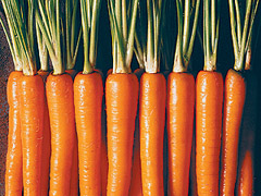 Морковь улучшает работу легких - 20080417142320794_1
