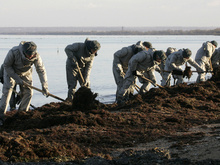 В Крыму начали утилизировать мазутную смесь, собранную после осенних кораблекрушений   - 20080502103614522_1