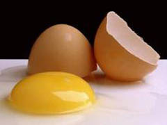 80% британцев не умеют варить яйца - 20080518221858290_1