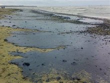 Ученые нашли способ локализации нефти на море - 20080714132324403_1