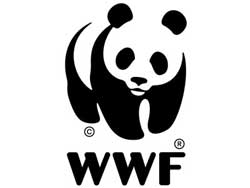 В Украине стартует информационный тур WWF  - 20081117100831761_1