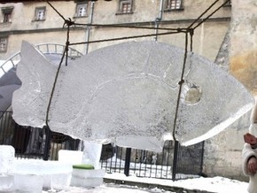 В воскресенье киевлянам покажут скульптуры изо льда - 20081120092544156_1