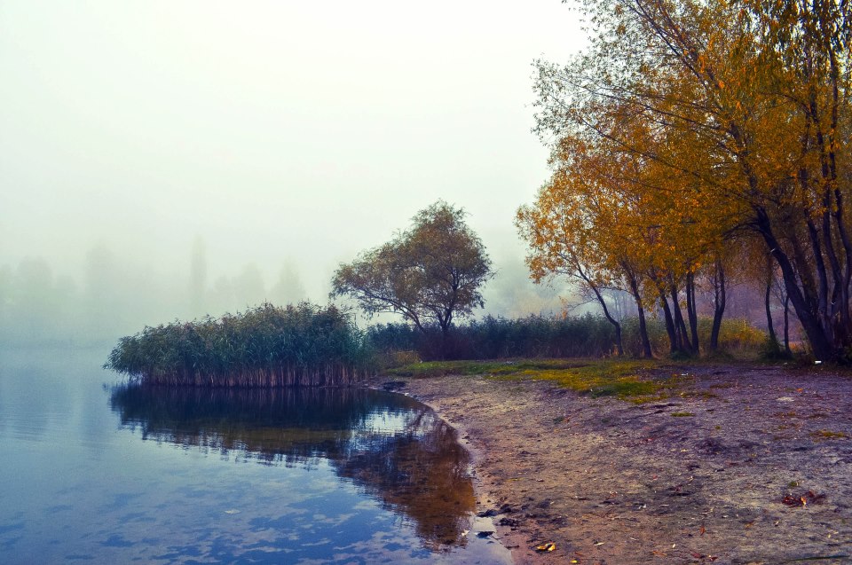 Озеро Біле, Осень, Оболонь (фото) - ozero-bile-osen-obolon-foto_1
